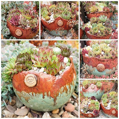 Bild "Keramik:Kugeln-bepflanzt-500.jpg"